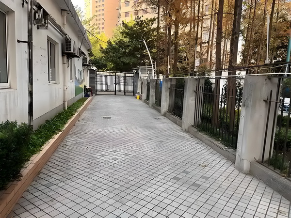 魔君王妃